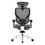 Black PA Plastic Ergonomic Revolving Chair High Elastic Wintex Mesh Chair Lumbar