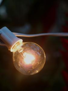 China 10 Socket Globe String Lights w White Cords (Bulbs Included) factory