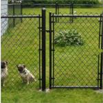 100ft Galvanized Black PVC Coated Chain Link Wire Mesh Fence For Sport Court