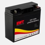 24V 12AH VRLA Lifepo4 Battery Deep Cycle Lithium Iron Phosphate Battery Max
