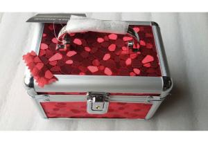 China Red Pink Beautify Cosmetics Case 3 Pcs Set Storage With Combination / G Lock factory