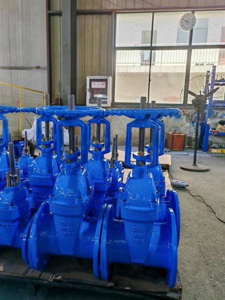 Soft Seat Gate Valve Rising Stem GGG40/GGG50 PN10/PN16/125lb-150lb Pressure