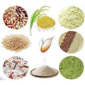 Reconstituted Instant Rice Machine , PLC Control Artificial Rice Processing Line