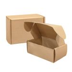 Custom Logo Printed Eco Friendly Delivery Brown Kraft Paper Carton Mailer