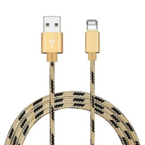 China 1 3 Meter Apple Certified Charging Cable Iphone 5 iPad iPhone X 2A Charger factory