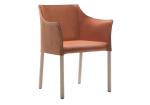 Office O CAP Fiberglass Arm Chair With Pigmented Leather Body