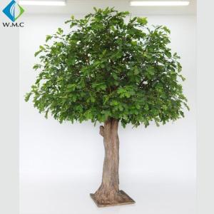 China 5-10 Years Lifetime Artificial Evergreen Trees , Coffee Shop Ornament Fake Oak Tree factory