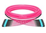 Mpo To Mpo Om3 Om4 72 Cores Mpo Mtp Patch Cord Aqua Or Purple Cable Corning