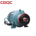 220v 380v Asynchronous Induction Motor Water Proof Sealing Structure