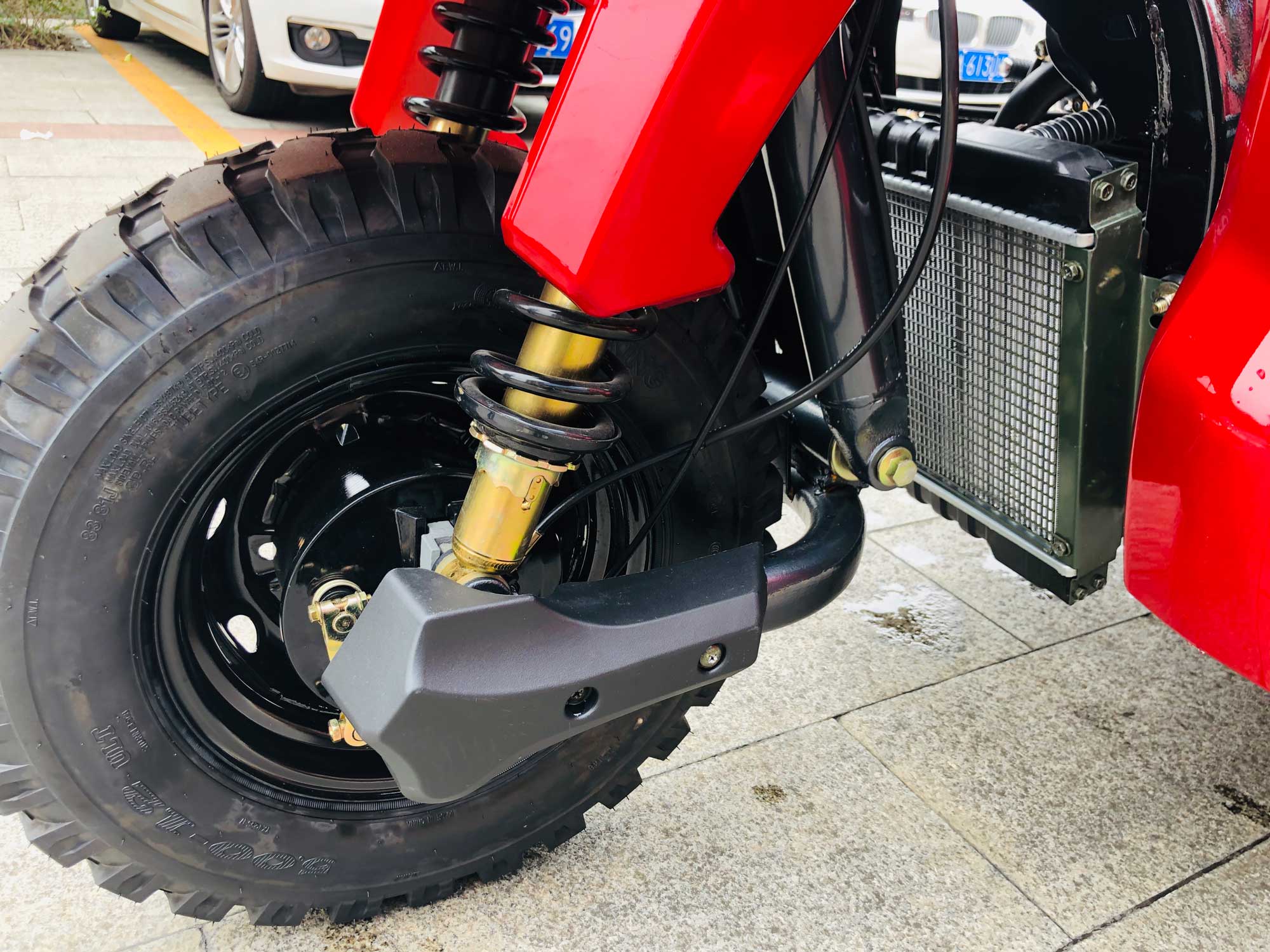 800W DAYANG DY-R1 RUITENG 250cc Cargo Tricycle for Heavy Duty CCC Three Wheels Motorcycle