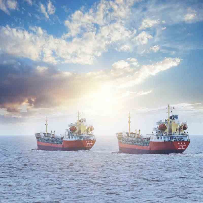 Door To Door Shipping From Sea Freight Service for Professional Buyers