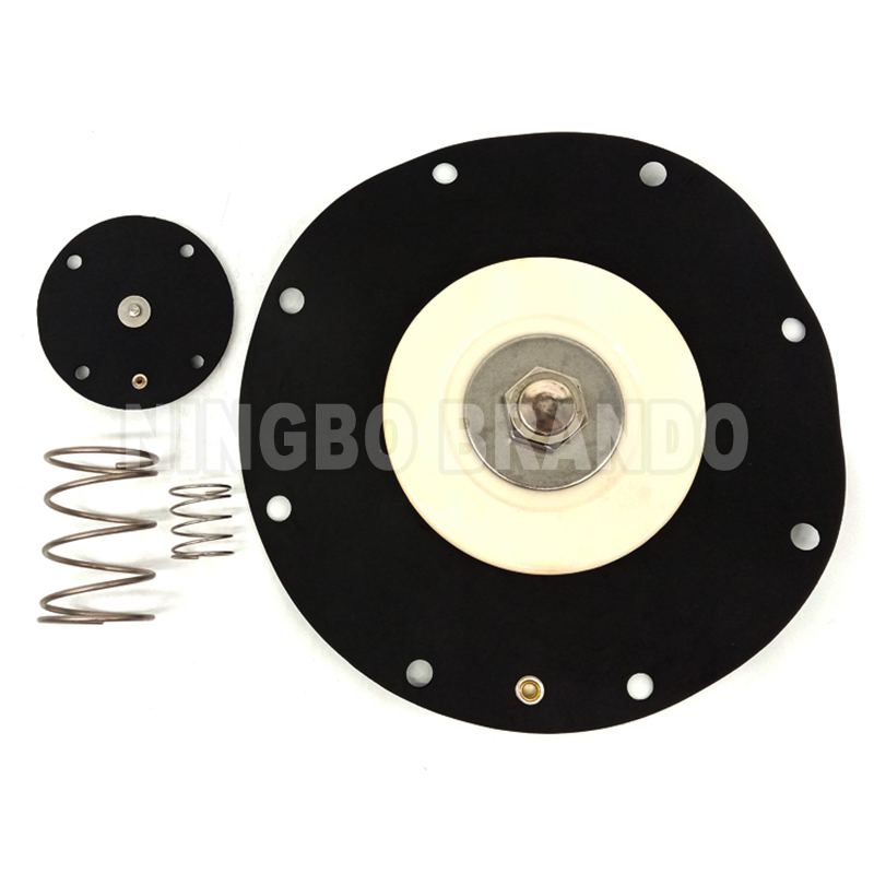C113684 Diaphragm