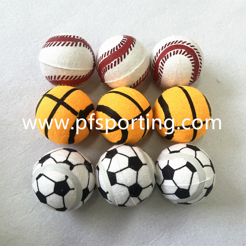 Pet Supplies Outdoor Interactive Puppy Thrower Ball Toy Throwing Ball for Dogs Teething Training
