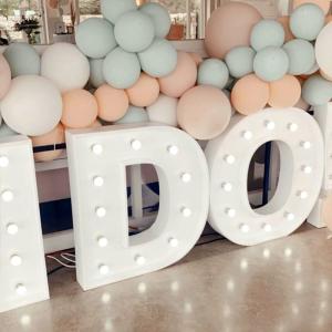 Custom Wedding Decor Vintage Marquee Letters Led Lighting with 12 V Input