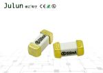 6.1*2.5MM 250V 600MA Miniature Electronic Circuit Board Fuses