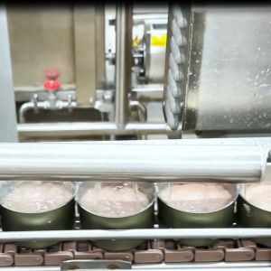 Efficient Automated Canned Food Production Line with 100g-3kg Container Size for