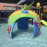 Frog Shape Lake Splash Pad Eco Friendly Backyard Splash Park
