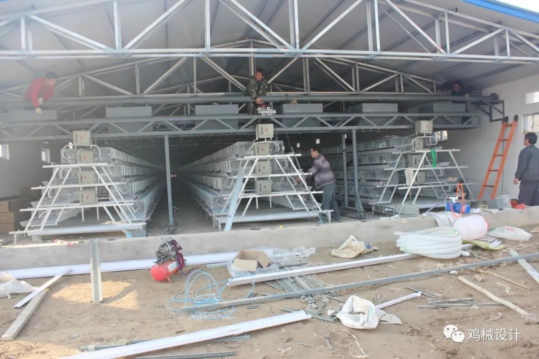 Battery Layer Chicken Cage For Poultry Farm With 96,120,128,160 Birds