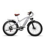 48V 17.5AH LG Battery Retro Electric Bike With Front Suspension 1000W Motor
