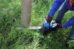 Air Cooling 2 stroke Gasoline 45.8cc Powerful Petrol Chainsaw 1.8KW Woodworking