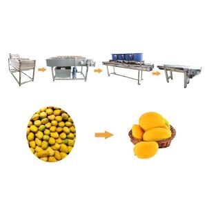 China Hot selling Automatic Tomato Processing Line Cleaning Machine by Huafood on sale