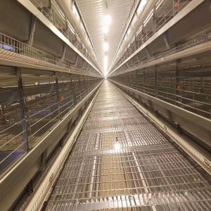 China 450cm2/Bird Q235 Steel Layer Battery Chicken Cage 150kgs Weight factory