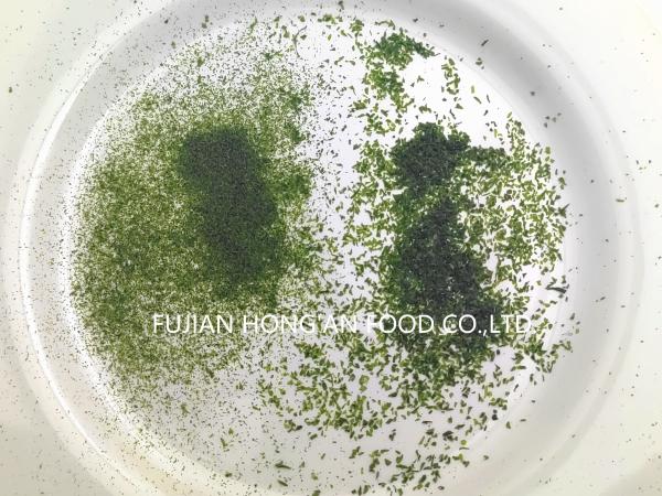 Texture Powder Ulva Lactuca Seaweed Sustainably Harvested Sprinkling Umami