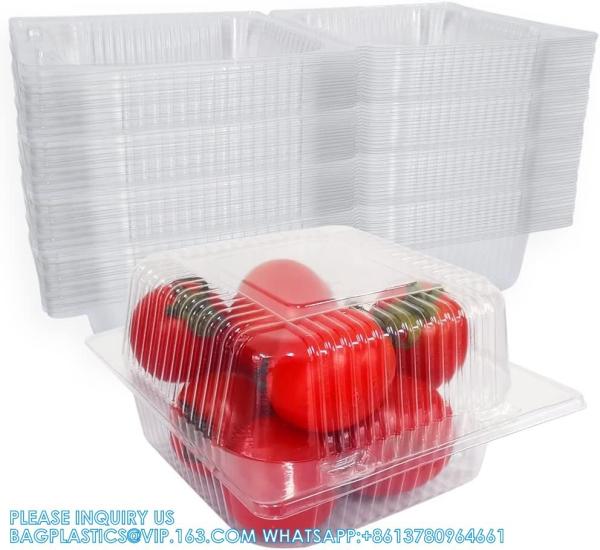 Square Hinged Food Container,Plastic Take Out Containers,Disposable Clamshell