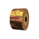 AISI Cold Rolled Steel Coils 201 304 Mirror PVD Rose Gold Plated