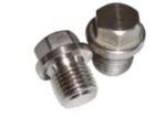 UNC Anti Corrosion SS304 Furniture Screw Nut Plain Finish