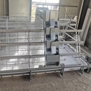 China Galvanized Steel Broiler Baby Chick Cage Material Feeding factory