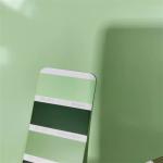 Ral Standard Color Prepainted Steel Coil Home Appliance Pre Painted Steel Sheet