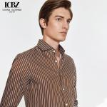 Summer Striped Shirt for Men No-Iron Long-Sleeved Business Casual Slim Fit Suit