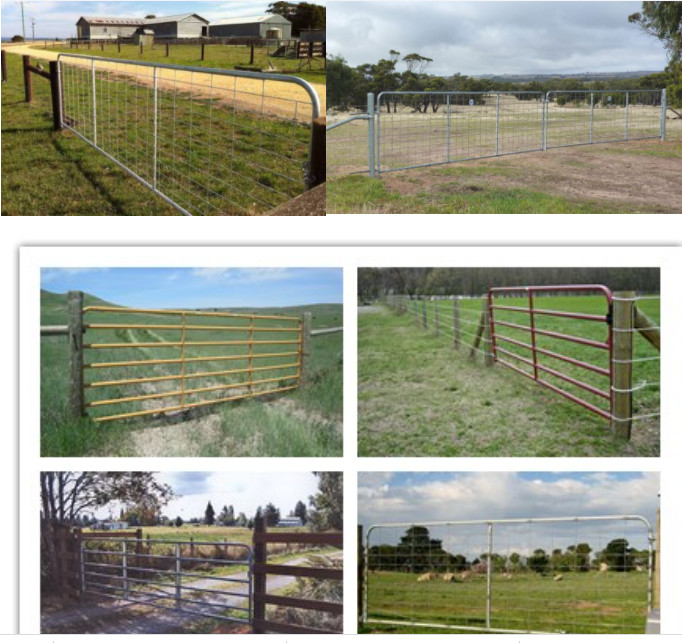 Q235 Steel 6ft Tall Livestock Handling Equipment For Goat Feeding