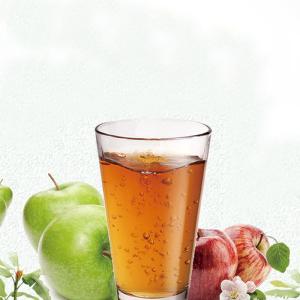 China Industrial Apple Processing Line Fruit Juice Making Machine 1000ml factory