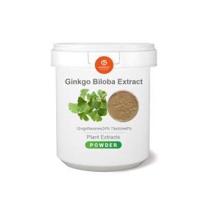 China Ginkgo Biloba Extract 24% Total Flavones 6% Terpene Lactones factory
