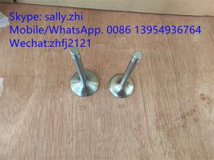 China sdlg inlet valve 4110000054096/12159606 for Weichai Deutz TD226B WP6G125E22, weichai engine parts for sale factory