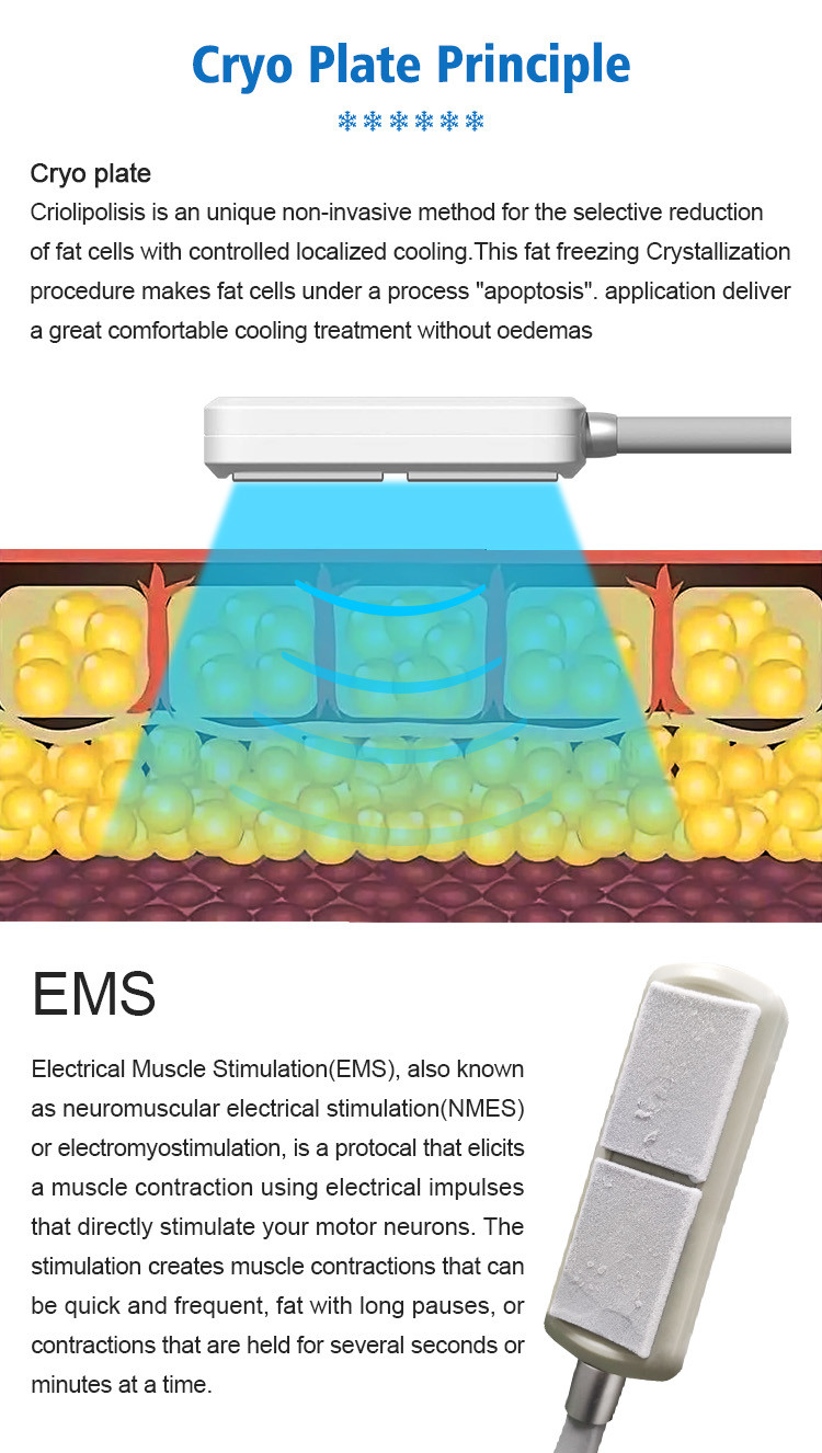 10D Maxlipo Master Laser Weight Loss Machine , EMS Cryo Weight Loss Machine 1100W