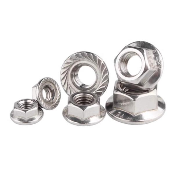 China M10 M12 Stainless Steel Hex Flange Nut SS304 316 316L Polish Plain Finish DIN6923 factory
