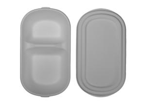 China Bagasse Lunch 22.5×12.5×5.5cm Biodegradable Salad Boxes factory