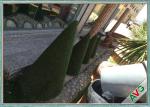 Perfect Skin Protection Outdoor Fake Grass Carpet For Garden / Landscaping