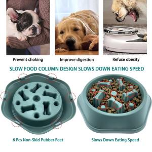 Advanced Pet Feeding Technology | Scientific Slow Feeder Solution