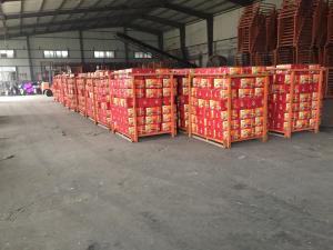 China Professional supplier garlic wholesale chinese normal white garlic fresh garlics factory