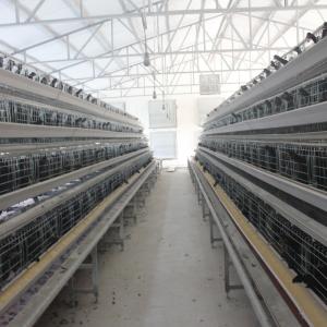 China Manufacturers Battery Egg Layer Chicken Farm Poultry Laying Hens Cages factory