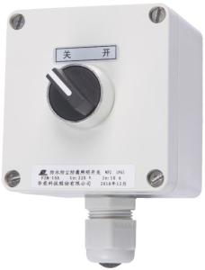 China FZM Weatherproof Illumination Switch Hang Mounting 250V 10A factory