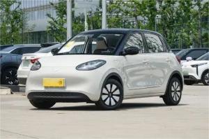 China Secondhand New Energy Vehicles Wuling Bingo Light Coffee Color 333KM Model factory