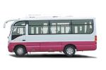 Supply Pickup Diesel Pick Up City Bus and Special Truck with 3950kg Curb Weight