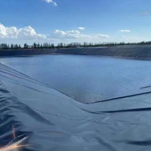 China Modern Design Prefabricated HDPE Smooth Geomembranes Fish Pond Liner 0.5mm 1mm for Water Storage Tanks factory
