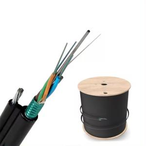 China 8 12 24 Core GYTC8Y/GYTC8S Strand Fiber Optic Cable Self Supporting Fiber Optic Cable factory