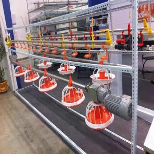 China 99g Chick Line Feeder Automatic Poultry Feeder System For Farming factory